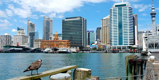 Wohnmobile mieten Auckland