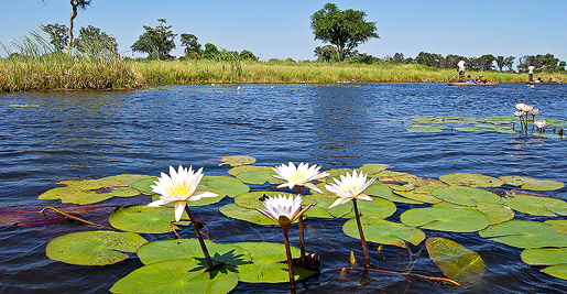 Wohnmobile mieten Maun